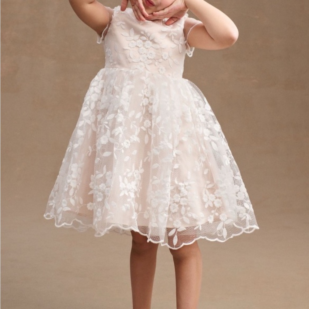 Princess Daliana Lindi Lace Piping Crew-Neck Flower Girl Dress Anthropologie